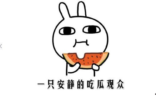 娱乐圈吃瓜的正确方法,轻松解锁明星八卦的正确姿势